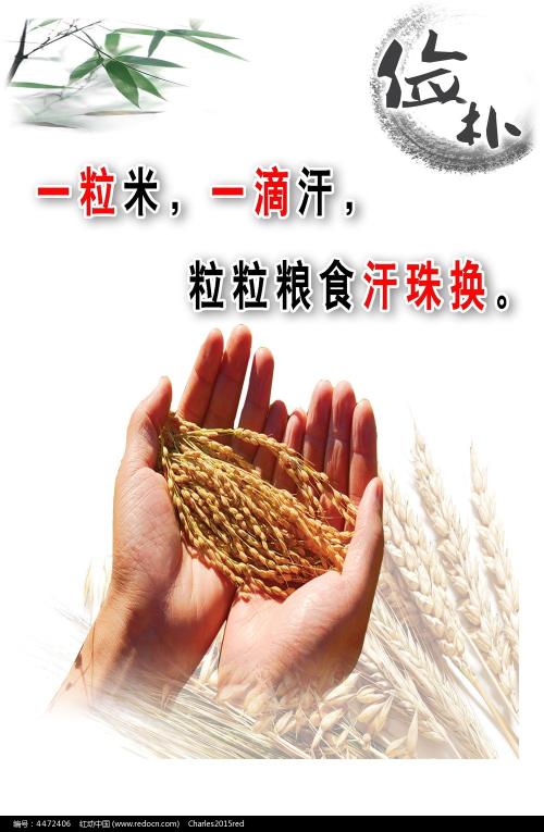 计生信息公证书号码